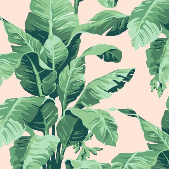 Meet your Posher, Madison - Picture 1 of 1